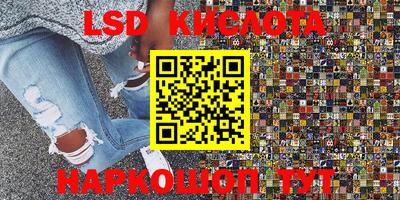 PSILOCYBIN Северобайкальск