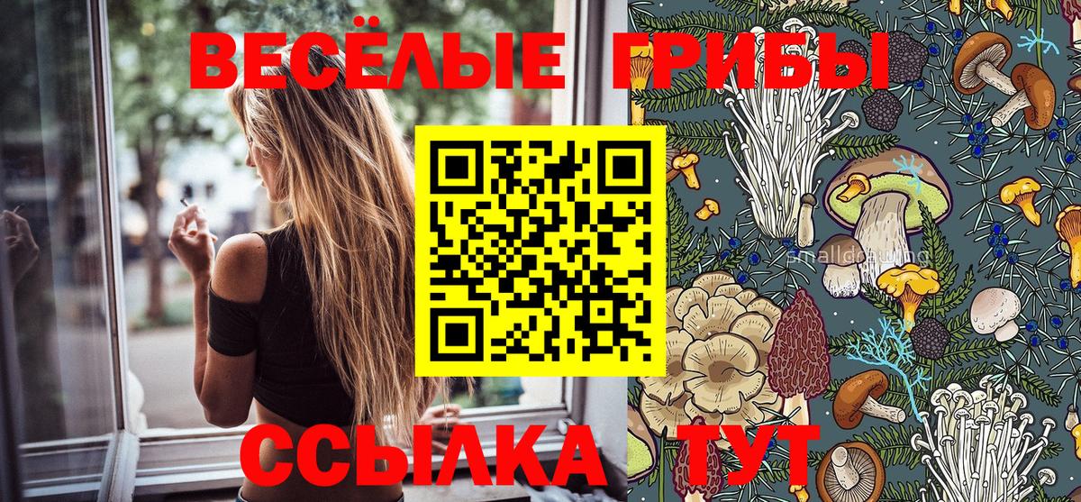 Серпухов  Псилоцибиновые грибы Magic Shrooms  Вход с VPN  Псилоцибиновые грибы мухоморы 